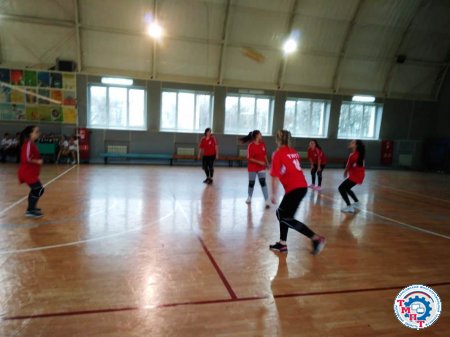 Соревнования по волейболу, посвященные Дню Конституции РФ.