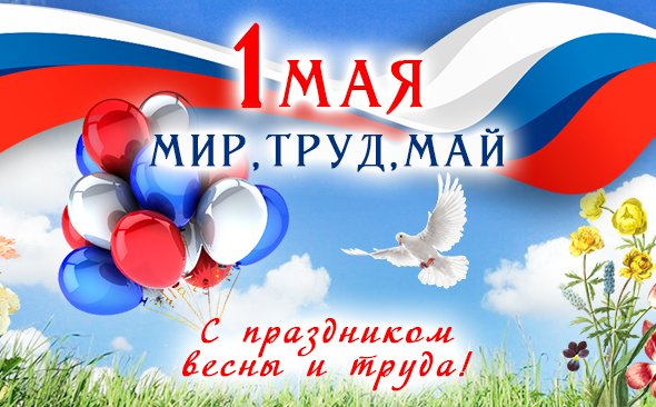 7a1b34ade6ad1bf0a78e7c45acd62659