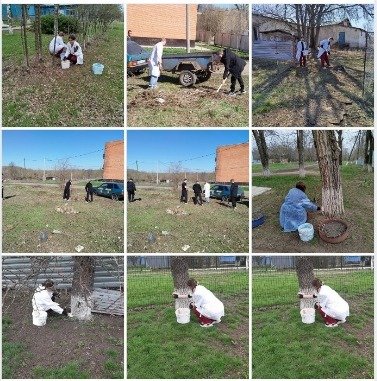 WhatsApp Image 2025-04-05 at 11.28.05