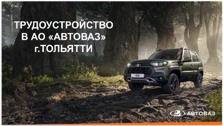 WhatsApp Image 2025-11-14 at 09.22.48